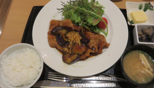 GINZA Marugoto Kochi Okyaku “Kochi nasu, Shimanto pork shogayaki gozen” | “Soup curry”