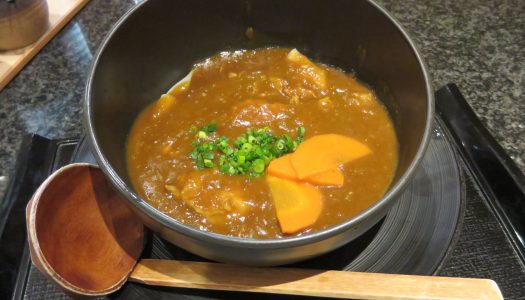 GINZA Hanayama Udon “Nankyoku curry” | “Oni kama”