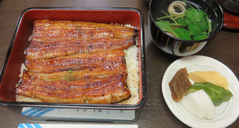 鰻はし本　うな重 い