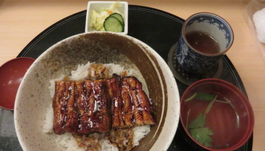 銀座　炉端とうなぎ 瓢箪　閉店