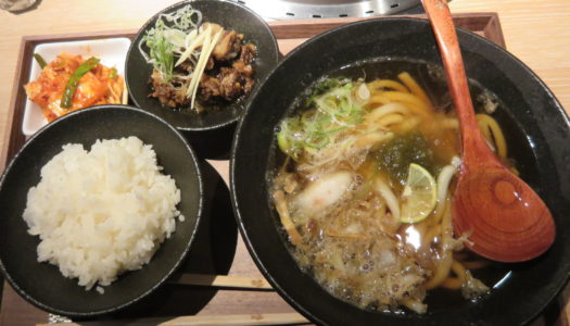GINZA Ryunosu “Kasuudon lunch”
