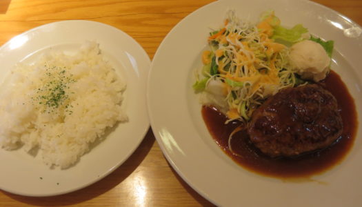 GINZA HOOTERS “Hamburger steak lunch”