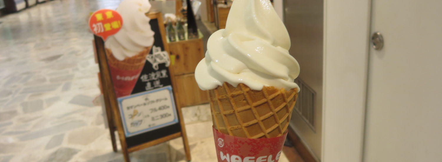 上越妙高　雪國商店　カマンベールソフトクリーム