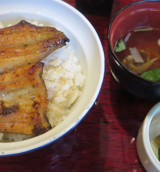 鰻 髙之屋　うな丼