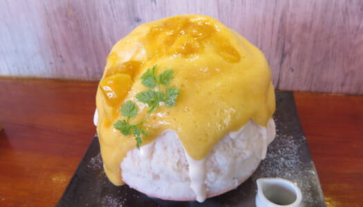 GINZA Parlor Vinefru “Mango espuma shaved ice” | “Stollen shaved ice”