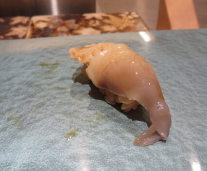 銀座のみこ寿司　ほっき貝