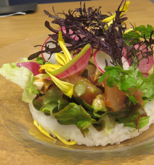 キハチカフェ＠日比谷シャンテ　マグロとアボカドのサラダごはん