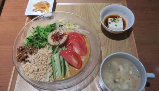 銀座　百菜百味　冷やし担々麺 | 五目チャーハン