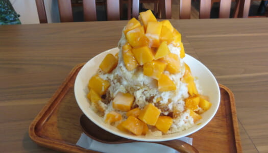 銀座　三徳堂茶荘　台湾産完熟マンゴーかき氷 | 豆豆氷