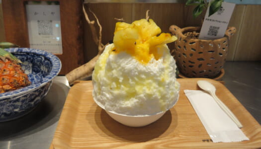 八重洲　かき氷コレクション・バトン 東京八重洲堂　プリンピニャコラーダ | プリンアラモード