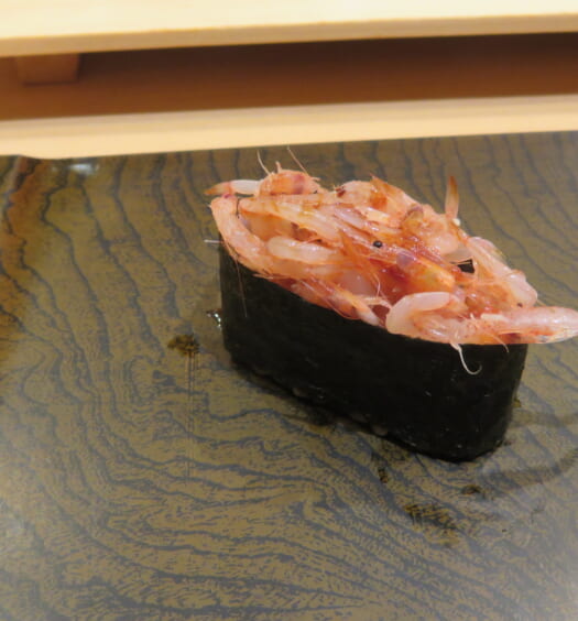 鮨 銀座おのでら 登龍門　さくらえび